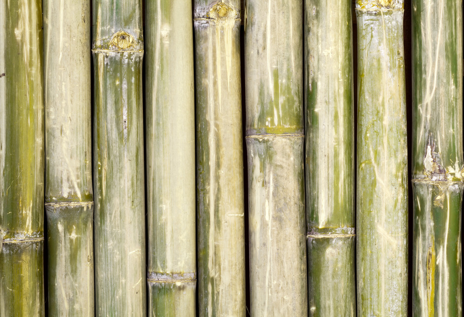 Bamboo: A Rough Misconception - Hooked On Bamboo